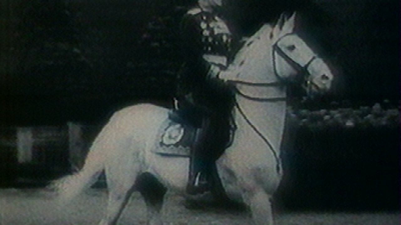 Всадник на белом коне