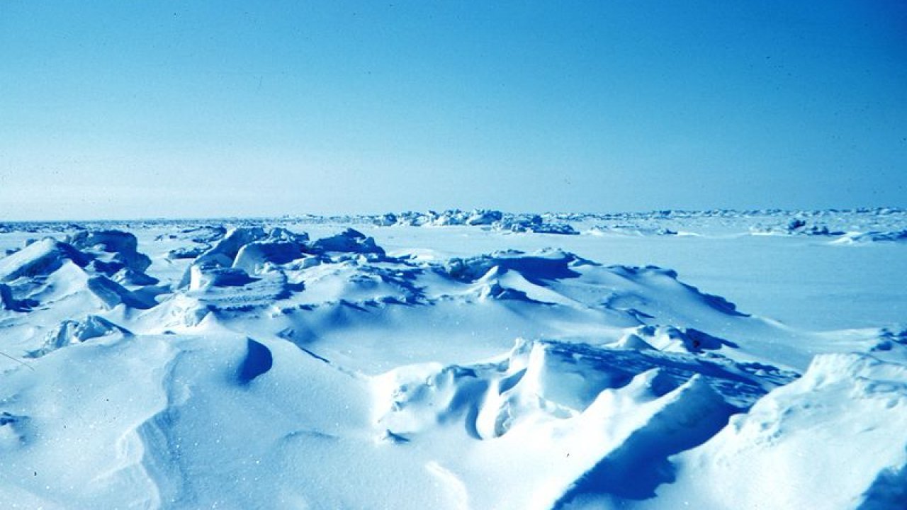 Арктика. Выбор смелых