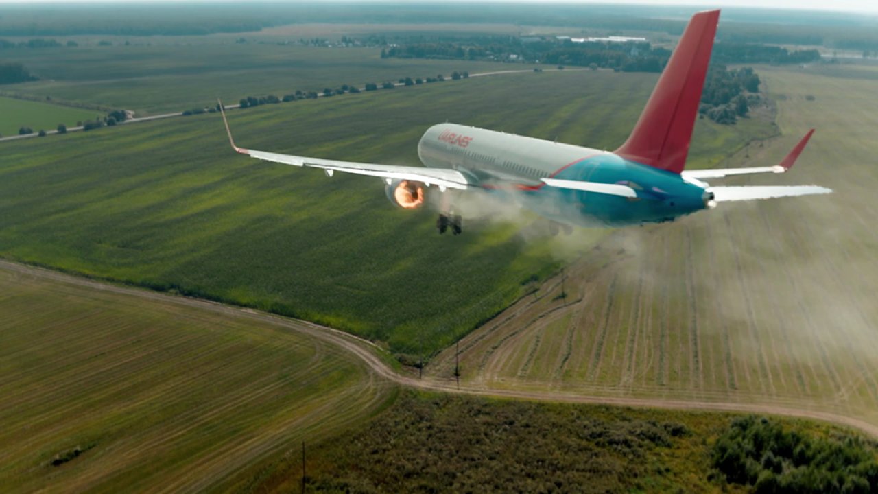 На солнце, вдоль рядов кукурузы