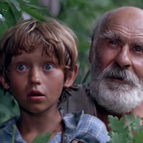 Дачная поездка сержанта Цыбули