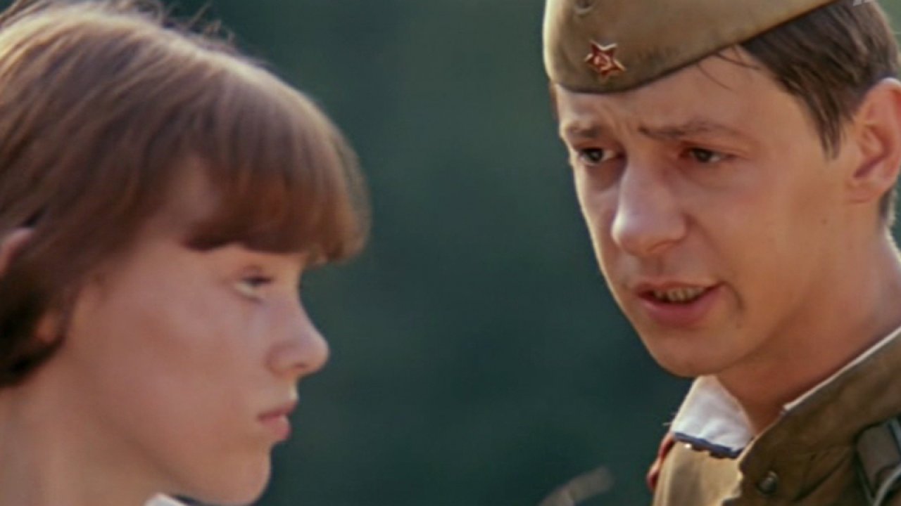 Дачная поездка сержанта Цыбули