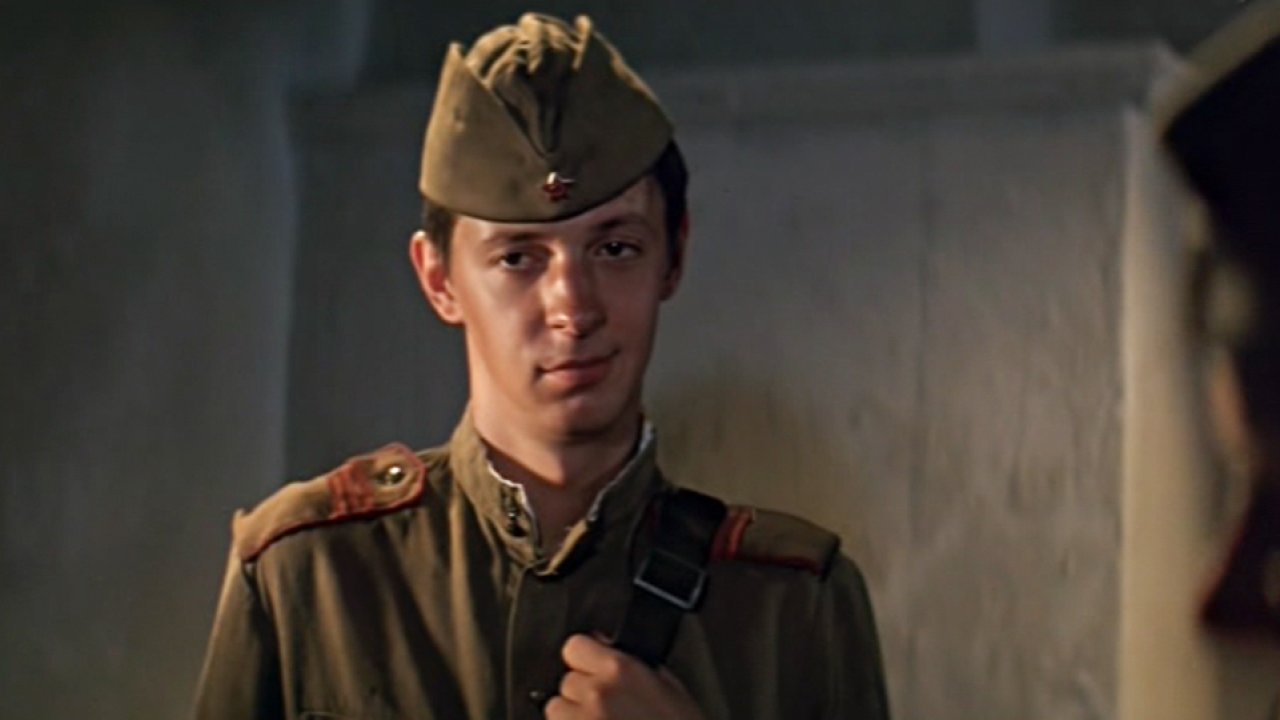 Дачная поездка сержанта Цыбули