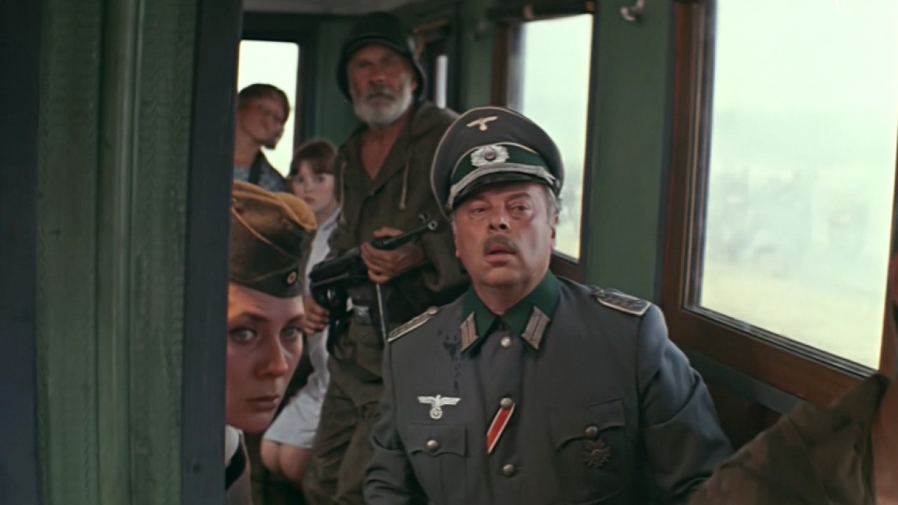 Дачная поездка сержанта Цыбули