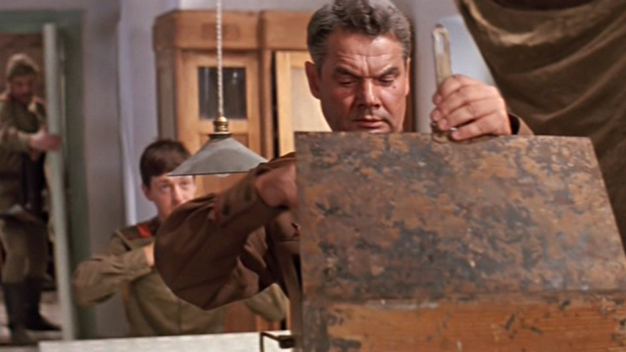 Дачная поездка сержанта Цыбули