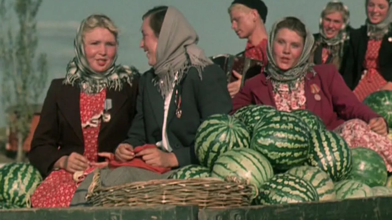 Кубанские казаки